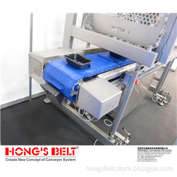 Food Grade Plastic Modular Conveyor Belt (HS-100A)
